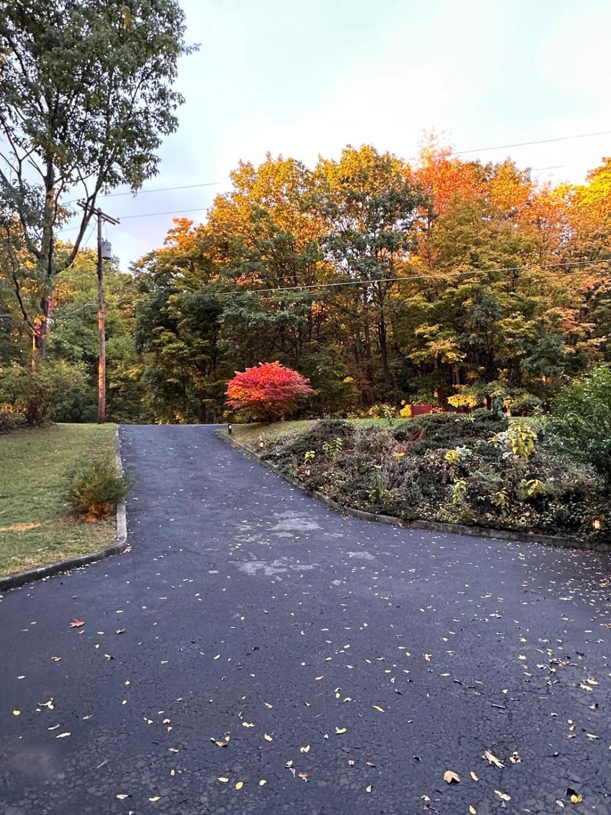 Cayuga Lake Cottage With Private Lake Access Washingtonville Eksteriør bilde